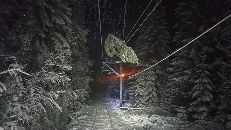 Copaci-cale-ferata-drezina-pantograf-3