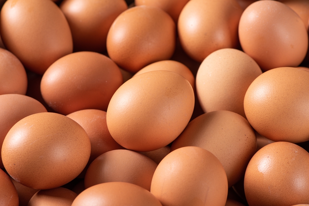 Ouă bio vândute în două mari rețele comerciale, retrase de la raft din cauza riscului de contaminare cu Salmonella