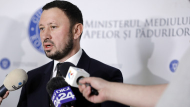 Mircea Fechet