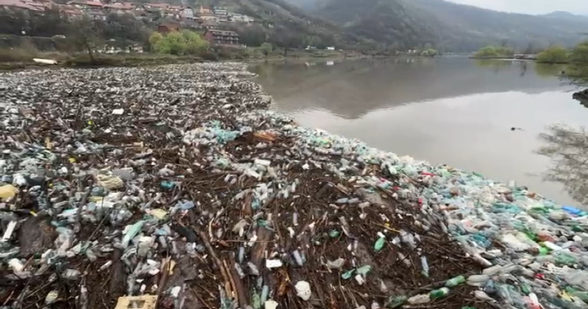 Dunărea, sufocată de gunoaie: tone de deșeuri aduse de viitură, la ...