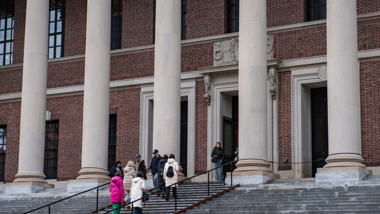 biblioteca harvard