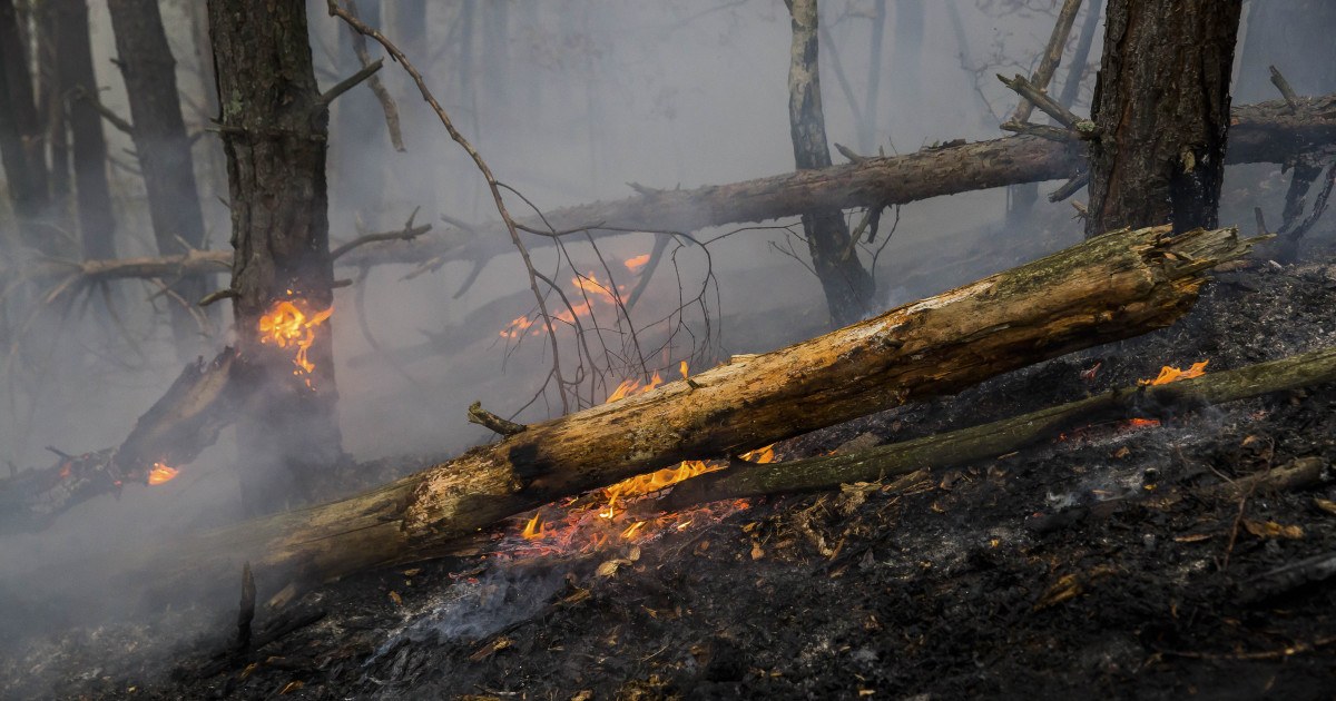 Incendiu devastator în pădurile Argeșului: Pompierii mobilizează elicopter pentru stingere