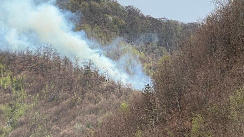incendiu padure arges