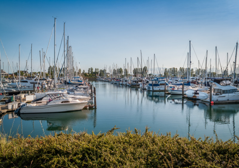 Sail,Boats,And,Yachts,Anchored,In,Point,Roberts,Marina,Washington