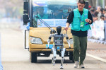 BEIJING, CHINA - APRIL 19: A N2 humanoid robot developed by Noetix Robotics competes in the Beijing E-town Half-Marathon