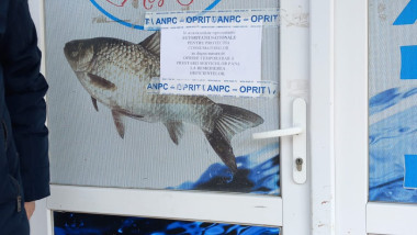 pescarie anpc