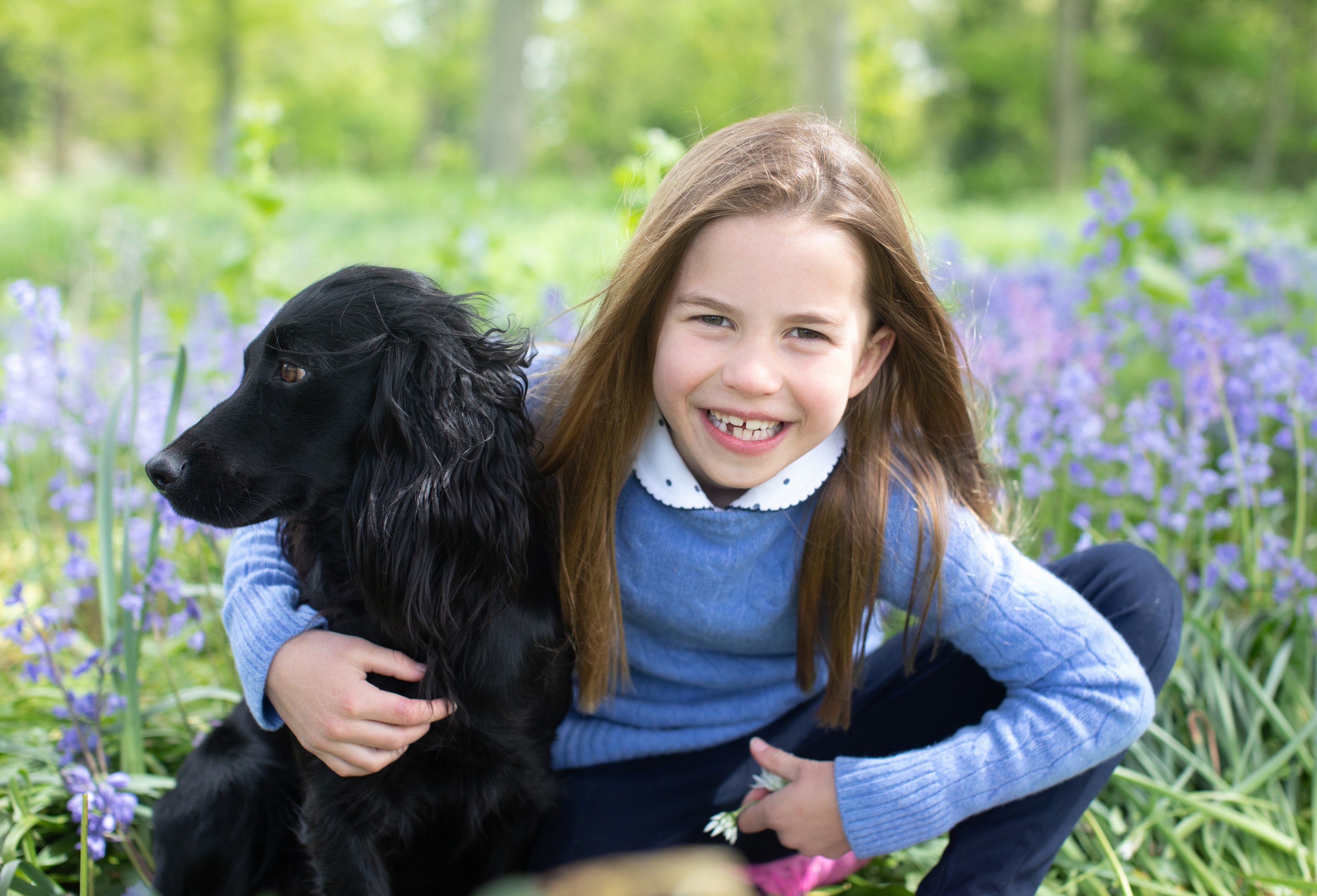 Fotografie inedita cu Orla, cainele ducilor de Cambridge. Mesajul special transmis de William si Kate