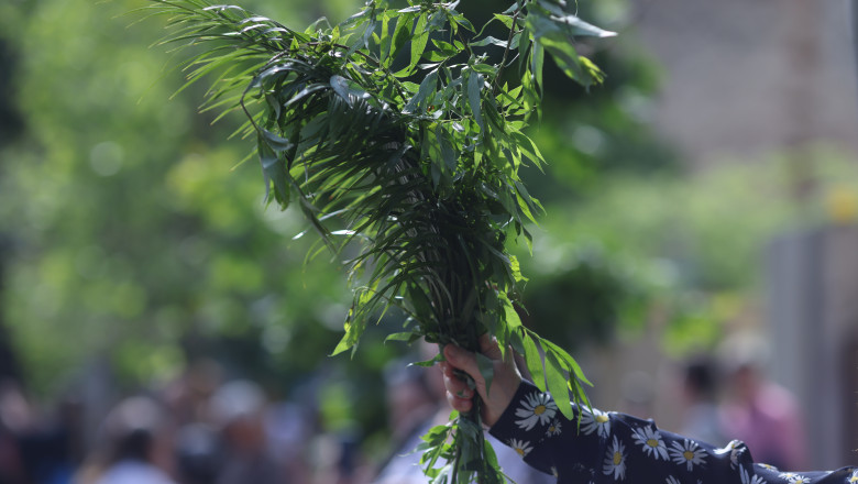 BUCURESTI - PELERINAJ FLORII - 27 APR 2024