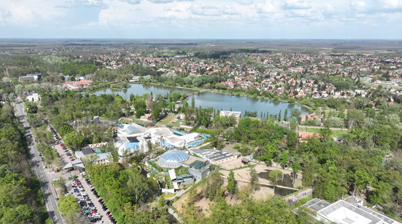 gradina zoo ungaria