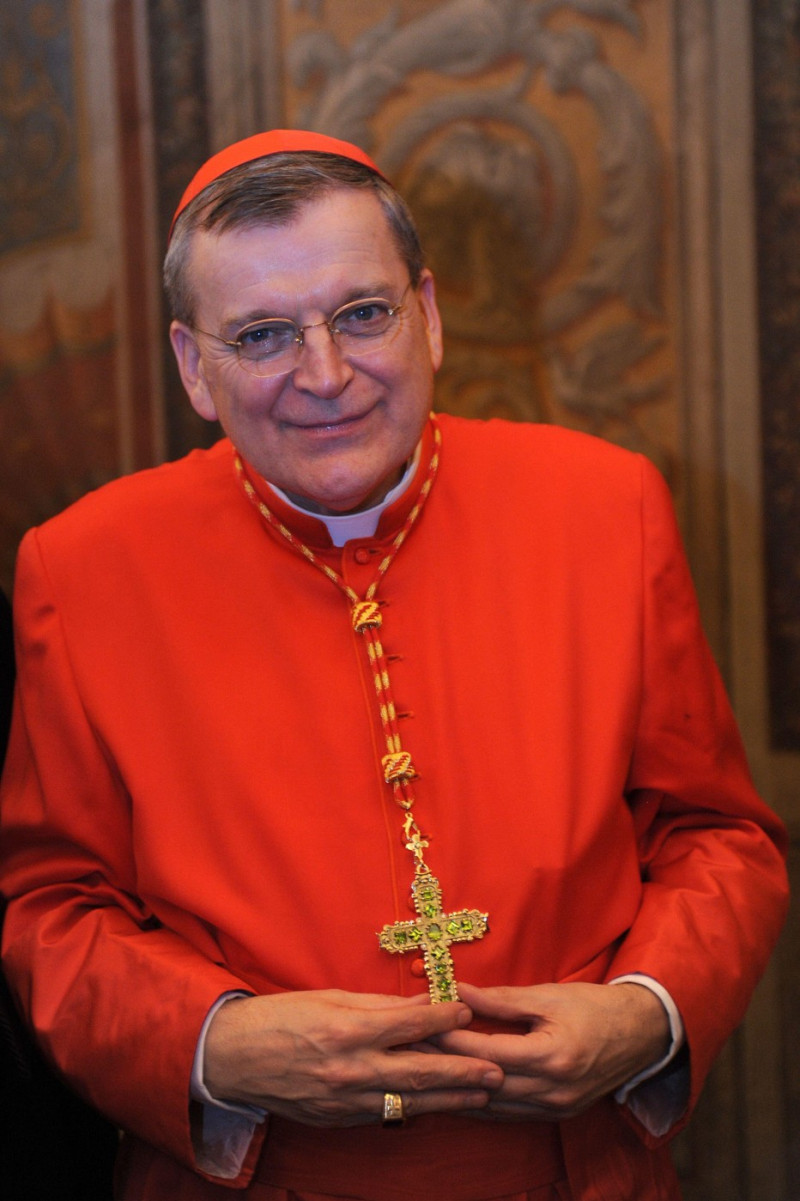 File photo - Cardinal ‘papabile' Raymond Leo Burke (USA) attends a consistory ceremony at the Vatican on November 20, 2010. - A vocal critic of Pope Francis, Burke advocates for traditional Catholic teachings on marriage, the Eucharist, and family issues,