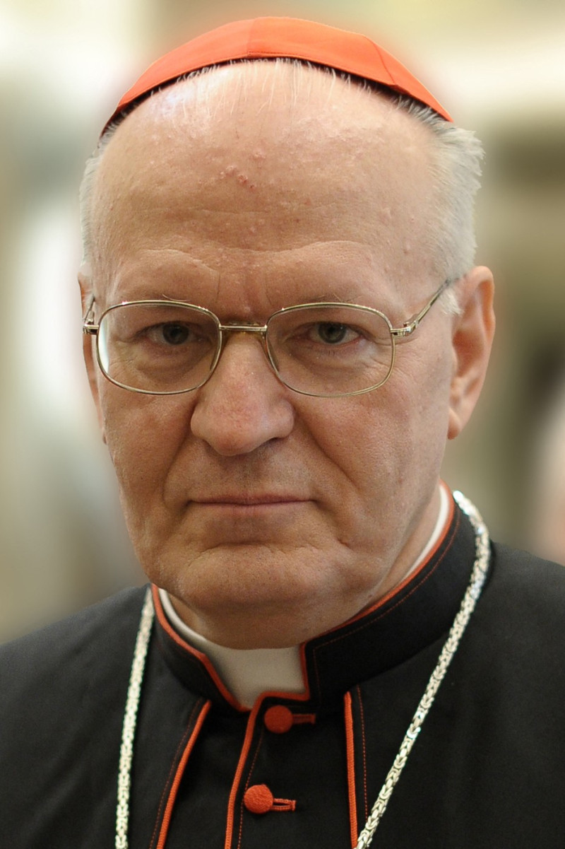 peter erdo