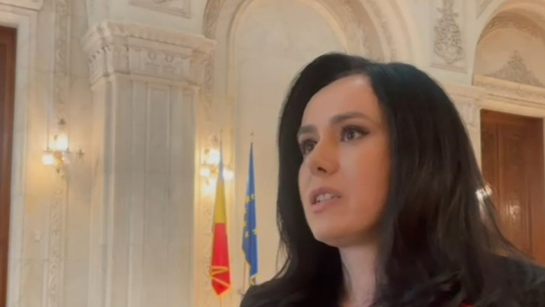 Ministrul Muncii, Simona Bucura Oprescu.