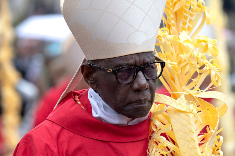 Palm Sunday Mass, Vatican City, Vatican - 13 Apr 2025
