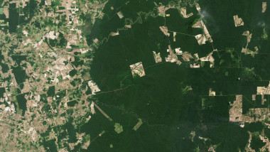 Tropical forest near the Capim River, Brazil, satellite image