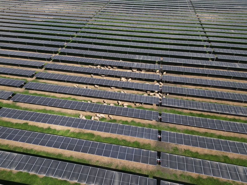 Parcul Fotovoltaic Teiuş