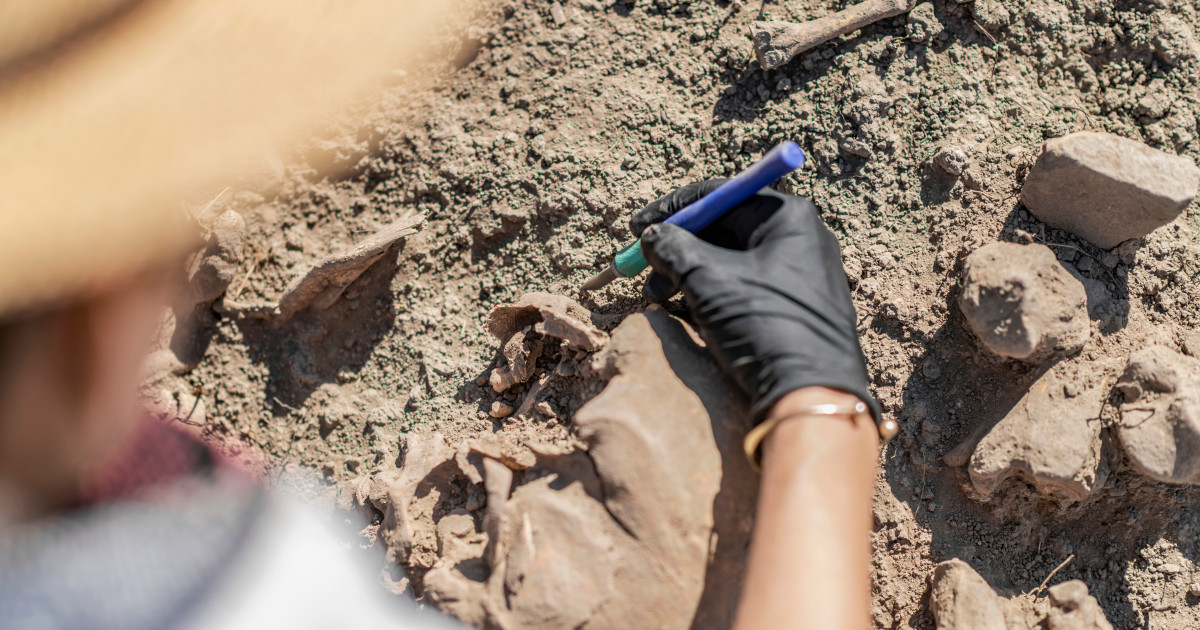 Misterele cimitirului medieval descoperit lângă Aeroportul Cardiff: Zecile de schelete găsite în poziții neobișnuite sunt de femei|EpicNews