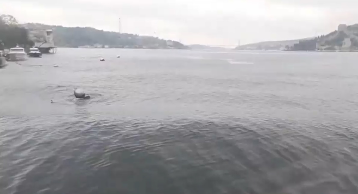 VIDEO Cutremurul din Turcia, surprins în direct la televiziune. Valuri uriașe în Marea Marmara