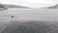 Valuri seismice în Marea Marmara.