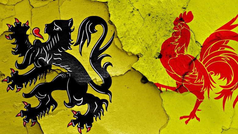 flags of Flanders and Wallonia painted on cracked wall