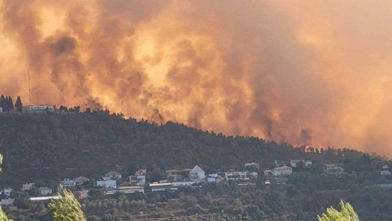 VIDEO. Incendii devastatoare în regiunea Ierusalimului. A fost mobilizată armata, Israelul a cerut ajutor internațional