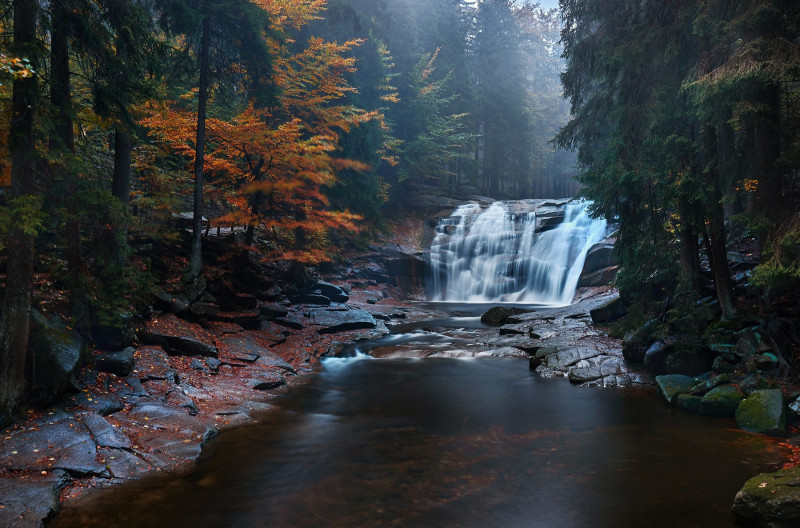 Waterfall in misty autumn forest