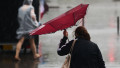 vreme, cod galben, bucuresti, meteo