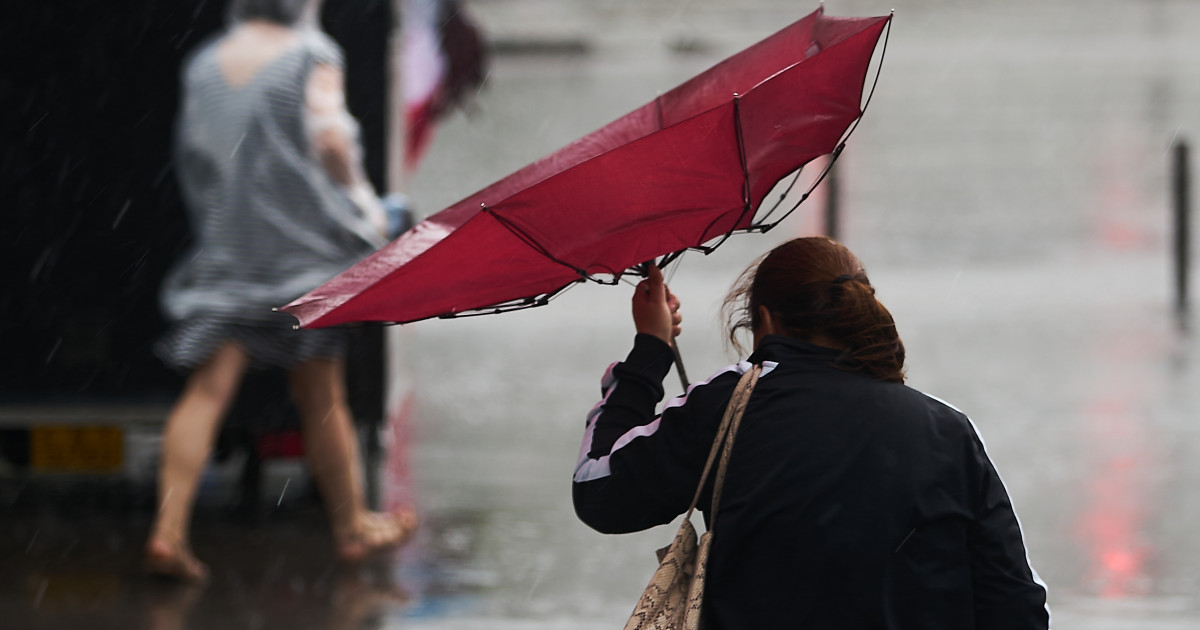 Alerte meteorologice: Ploi și vânt puternic în estul țării