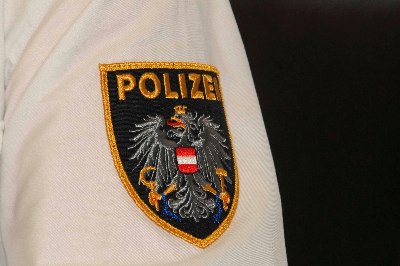 Austria investighează o campanie rusă de dezinformare pe scară largă. Acțiuni online și offline
