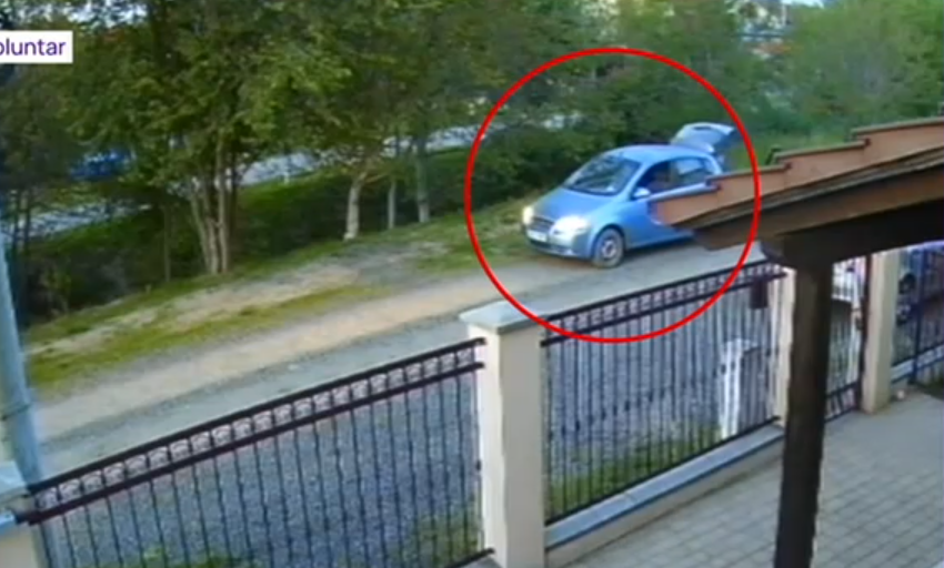 Un câine ar fi fost împușcat pe o stradă de lângă Timișoara. Un bărbat a fost surprins pe camera de supraveghere