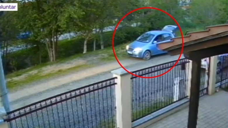 VIDEO  Un câine ar fi fost împușcat pe o stradă de lângă Timișoara. Un bărbat a fost surprins pe camera de supraveghere