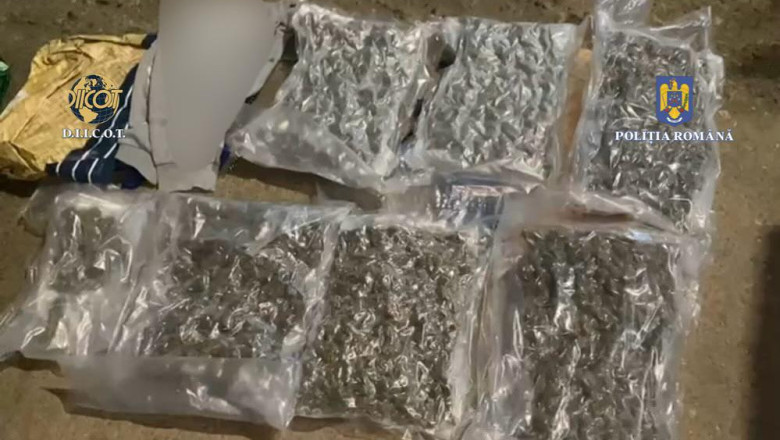 FOTO  Un bărbat a fost prins în flagrant de procurorii DIICOT după ce a comandat peste 6 kilograme de canabis din Spania