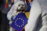 INSTANT_RO_RAMAI_EVENIMENT_PRO_EUROPA_024_POOL_INQUAM_Photos_Octav_Ganea