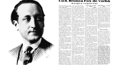 Brunea-Fox_tânăr