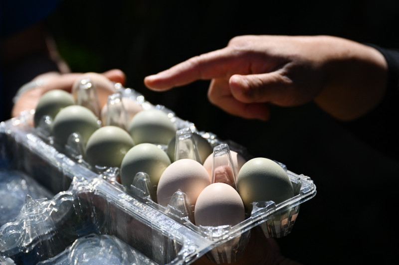 profimedia-0994346751