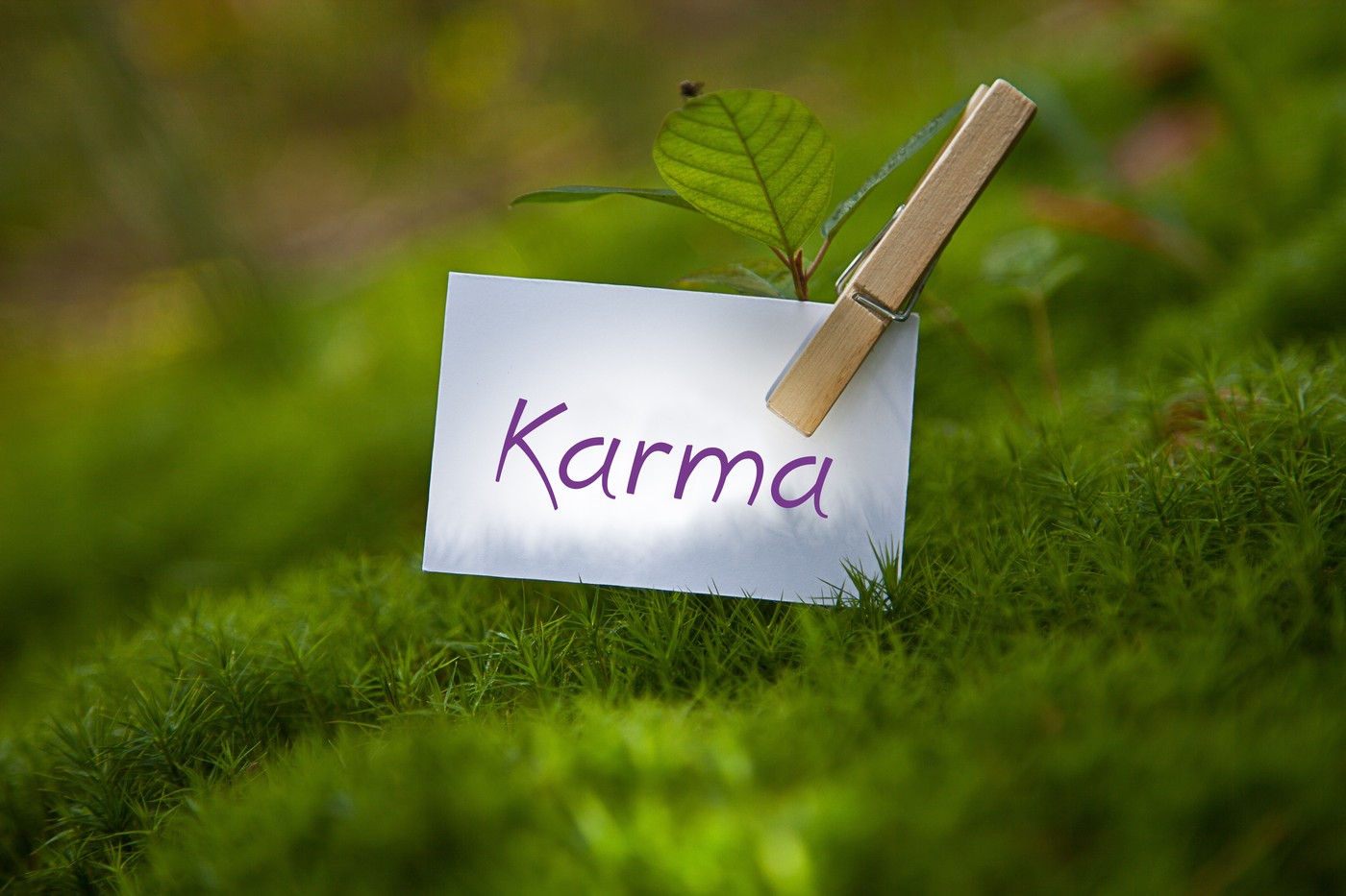 Studiu despre karma: Oamenii care cred că universul îi pedepsește pe cei răi se consideră mai buni decât cei din jur
