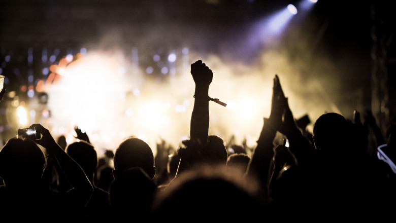 crowd with raised hands at concert - summer music festival Photo: Cronos/Melinda Nagy