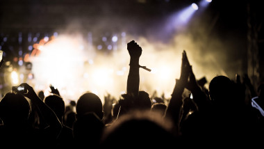crowd with raised hands at concert - summer music festival Photo: Cronos/Melinda Nagy