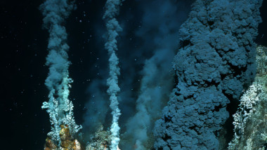 photo-collage.png - 2025-05-17T201444.551