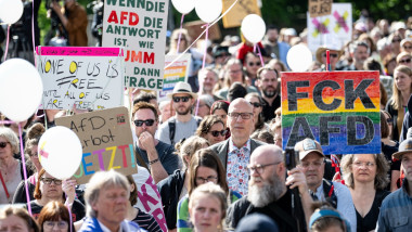 Miting anti AFD