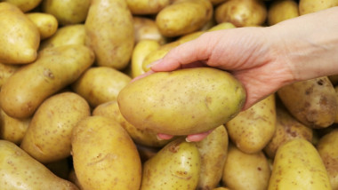 Closeup,Of,Hand,Holding,A,Potato,With,Blurry,Heap,Of