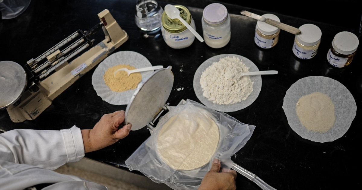 Mexicanii experimentează cu tortilla. De ce vor o variantă care să reziste mult timp fără a fi păstrată la frigider|EpicNews
