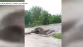 inundatii