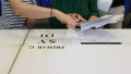 vot primar locale