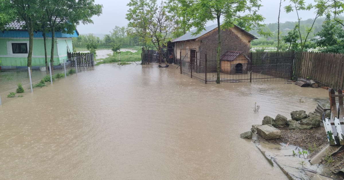 Nicușor Dan cere acțiuni urgente pentru salvarea vieților în fața inundațiilor