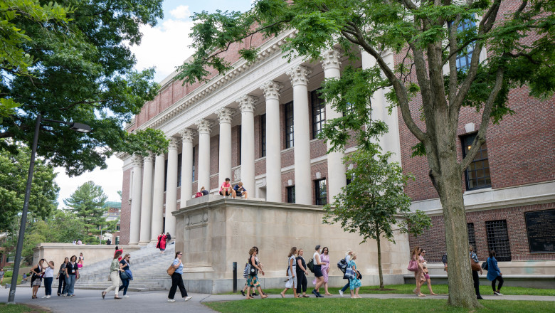 universitatea harvard