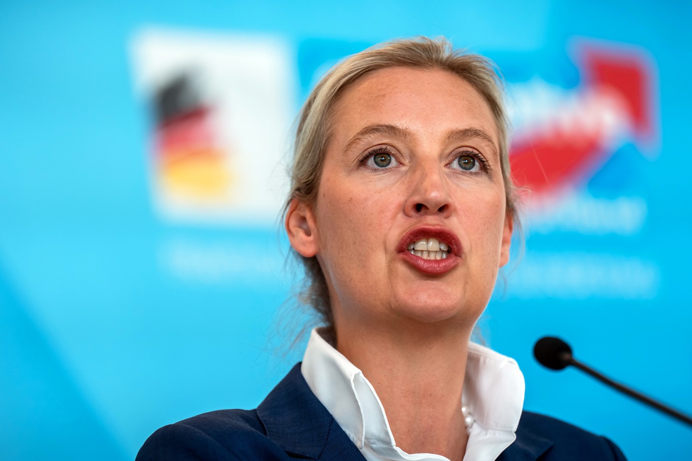 Partidul de extremă dreaptă din Germania a fost acuzat că spionează pentru Rusia și alte state autoritare