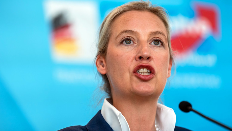 Ce spune ministrul german de Interne despre posibilitatea interzicerii partidului extremist AfD