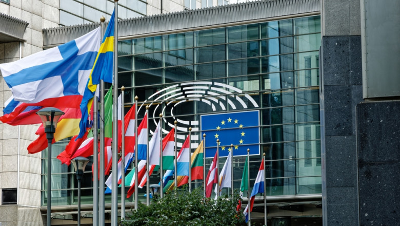 Altercație între o eurodeputată suedeză de origine română și o angajată de la un alt grup parlamentar. Care a fost motivul