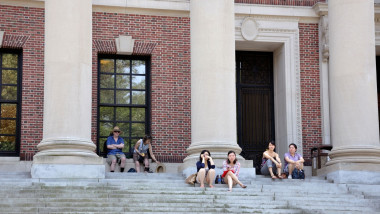 universitatea harvard