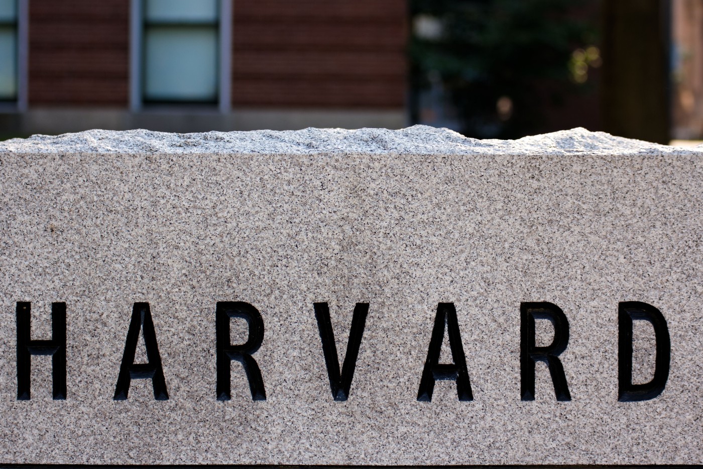 Elitele globale care au terminat Universitatea Harvard. Cine sunt foștii studenți care au ajuns premieri și președinți